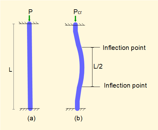 buckling for fixed supported Euler column